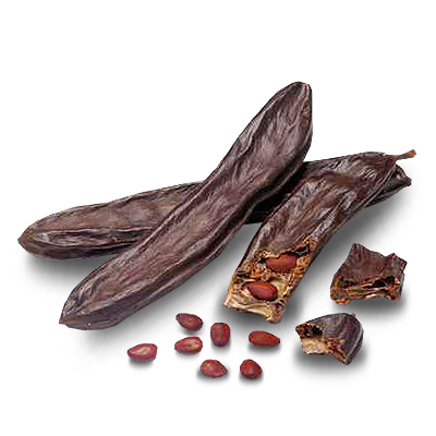 Carob Paulúns