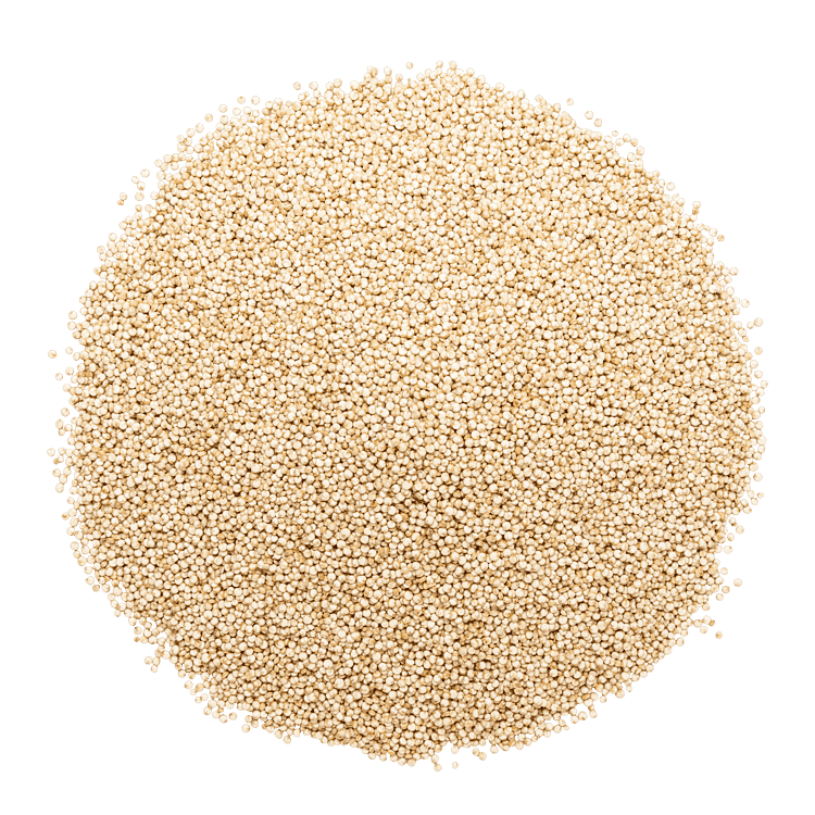 Hög med quinoa -Paulúns